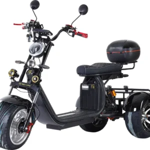 CityCoco GT X12 TRIKE