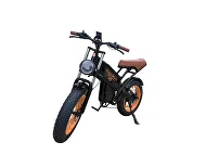 Kugoo V5